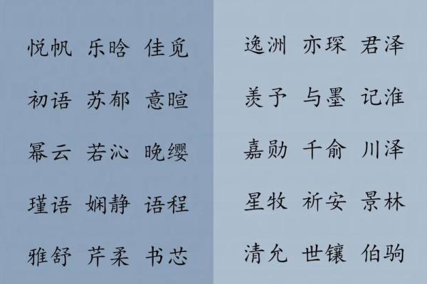陈宝宝名字：传承与个性的完美结合