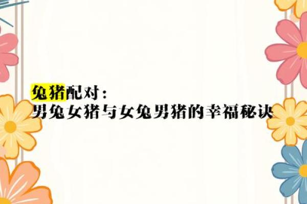 女鼠男兔的配对究竟如何 从生肖角度解析相配与否 女鼠男兔的配对究竟如何 从生肖角度解析相配与否