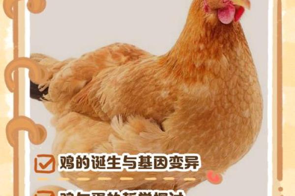 十月出生的鸡宝宝如何起名才合适 十月出生的鸡宝宝如何起名才合适