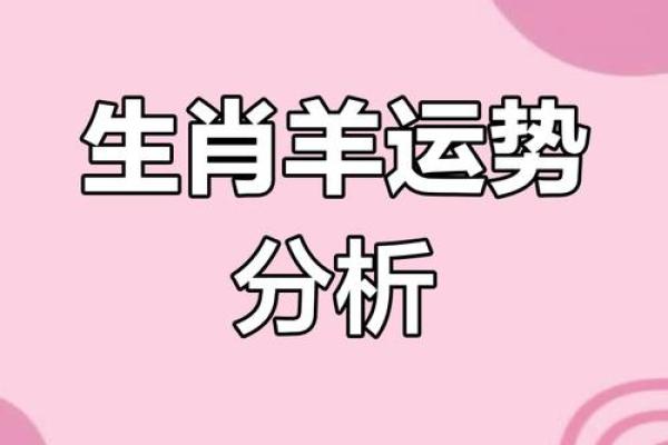 出生的属羊人运程解析 出生的属羊人运程解析
