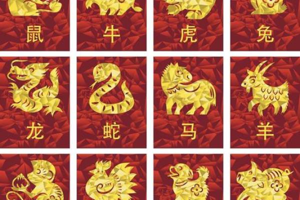 龙女与猴男的爱情契合度分析 龙女与猴男的爱情契合度分析