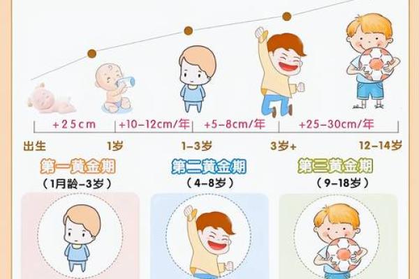 从儿命的特征与命运走向 从儿命的特征与命运走向