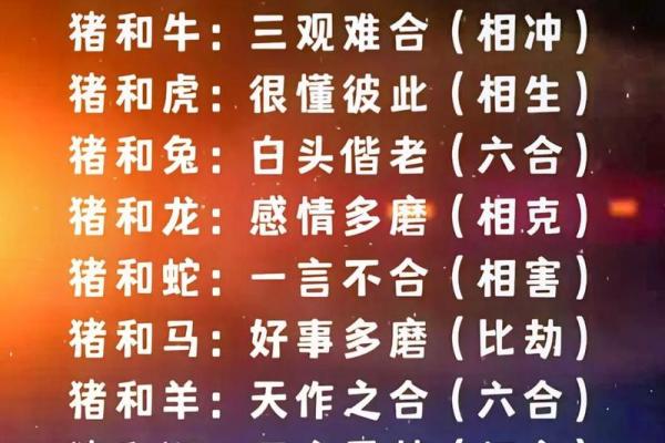 猴与猪的配对是否合适?探索生肖配对的奥秘 猴与猪的配对是否合适?探索生肖配对的奥秘