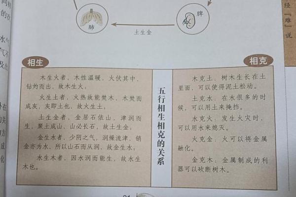 淡的五行属性解读:探索它在生活中的深刻意义 淡的五行属性解读:探索它在生活中的深刻意义