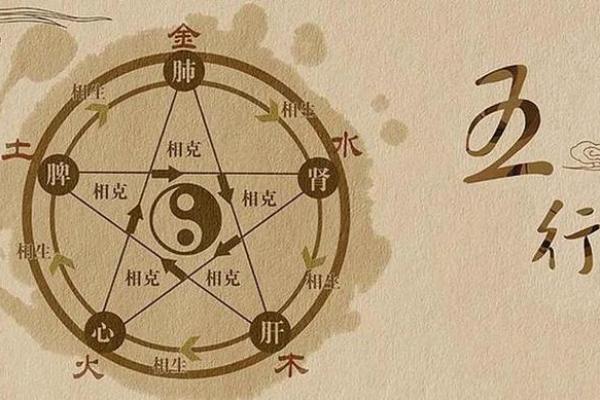 出生的人五行属什么？揭开命理秘密解析
