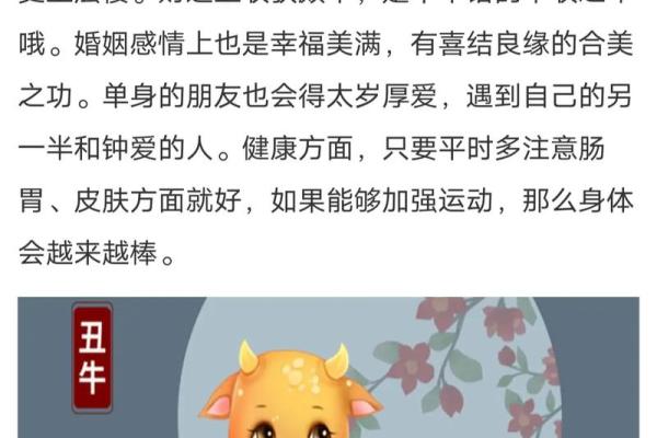 属相运势全面解读:好运和困境的双重考验 属相运势全面解读:好运和困境的双重考验
