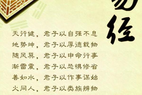属马运程运势波动:逐月解析 属马运程运势波动:逐月解析