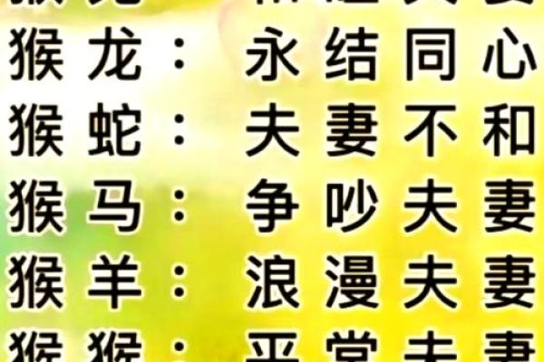 男属猴女属鸡是否天作之合 如何看待两者配对的默契与挑战 男属猴女属鸡是否天作之合 如何看待两者配对的默契与挑战