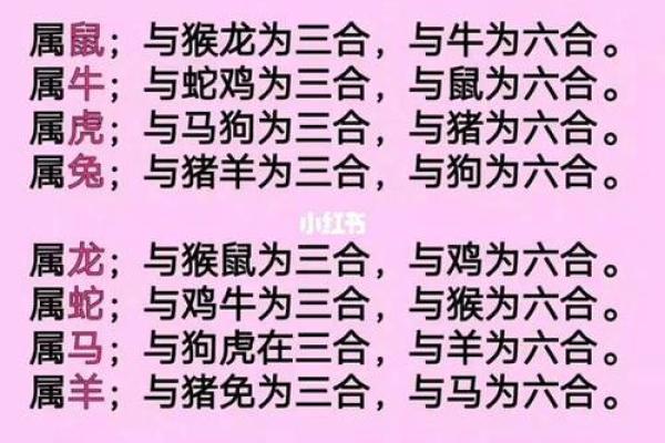 女虎男虎在一起好吗?从生肖角度看他们的爱情关系 女虎男虎在一起好吗?从生肖角度看他们的爱情关系