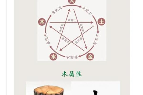 大林木命之间的相配性解读 大林木命之间的相配性解读