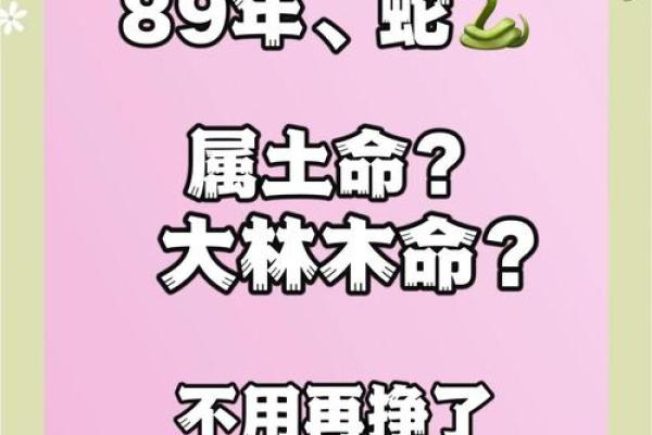 大林木命之间的相配性解读 大林木命之间的相配性解读
