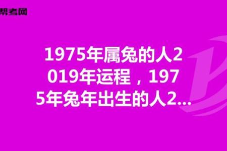 本命年兔男的幸福感提升秘诀