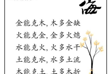 丹顶五行：解密丹顶鹤与五行相生相克的奥秘