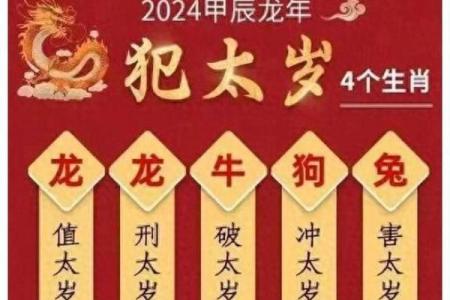 羊女本命年如何调整自己的生活节奏