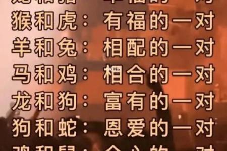 男猪女鸡是否合适的婚配分析与解读