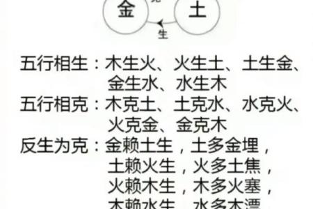 出生的生肖属什么及命理分析