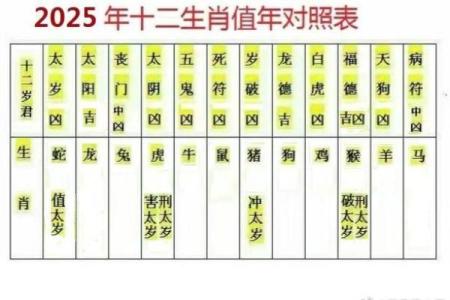 出生属相与命运走向的深度解析