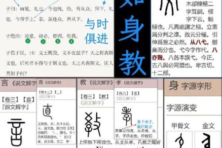 柦字五行属性解析：揭开其背后的神秘力量