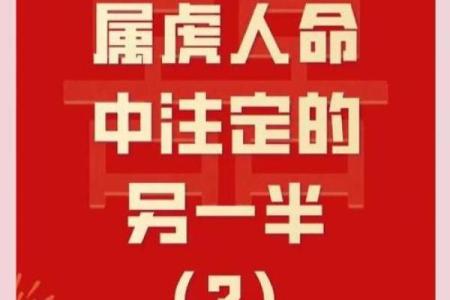属虎与属猪的性格匹配度分析及感情建议