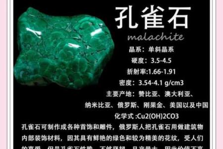 孔雀五行与命理的深刻关联解析
