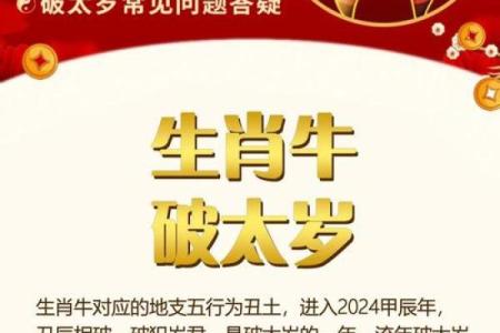 生肖与职场成功的关系，如何抓住事业运势的机会