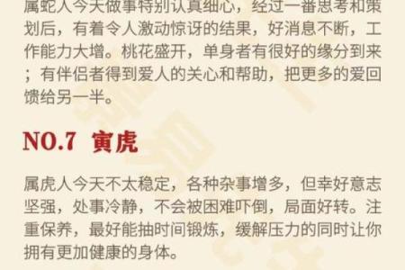 出生的猴子属什么命解析
