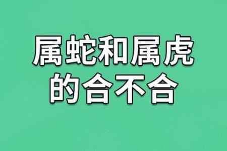男蛇女鸡的婚姻：从性格到生活的完美契合