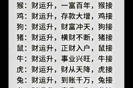 运程解析：不同生肖的财运与事业运势