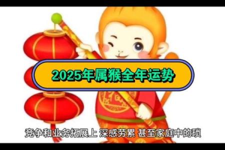 属猴运程如何，事业与感情运势一览