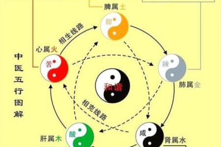 崇属于五行中的哪一类？深入解析五行与崇的关系