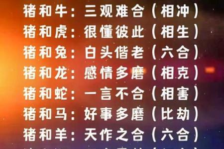 猴与猪的配对是否合适？探索生肖配对的奥秘