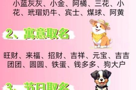 帮你挑选最适合狗狗的男孩名字
