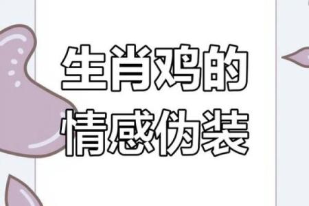 鼠与鸡的生肖缘分究竟如何？