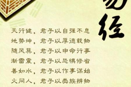 属马运程运势波动：逐月解析