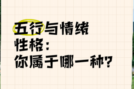 倦五行如何影响我们的情绪和健康