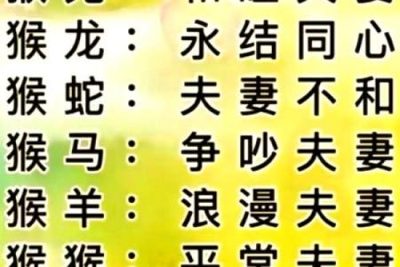 男属猴女属鸡是否天作之合 如何看待两者配对的默契与挑战
