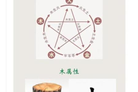 大林木命之间的相配性解读