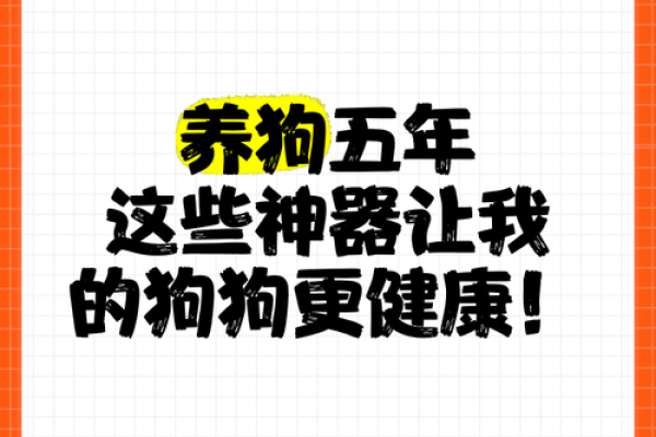 从五行角度看宠物狗的健康管理,你准备好了吗? 从五行角度看宠物狗的健康管理,你准备好了吗?