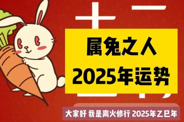 属兔运势详解及每月运程分析 属兔运势详解及每月运程分析