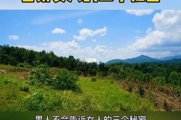 揭秘男命双桃花,命运中隐藏的爱情秘密 揭秘男命双桃花,命运中隐藏的爱情秘密