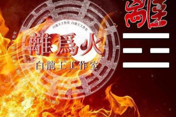 从五行角度看瞳的属性,如何帮助你提升运气 从五行角度看瞳的属性,如何帮助你提升运气