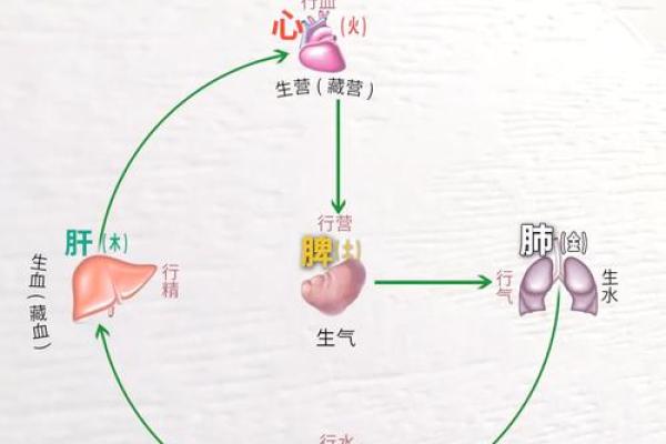 从脾气看命运的走向 从脾气看命运的走向