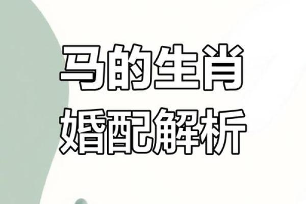 从属马人的婚姻观看属马与属马的婚配适合度 从属马人的婚姻观看属马与属马的婚配适合度