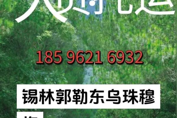 避免运输的常公司见起错误名
