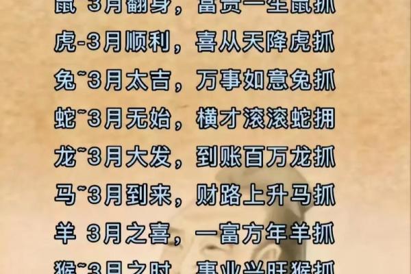 从属相看运势 肖排序暗藏的生命密码 从属相看运势 肖排序暗藏的生命密码