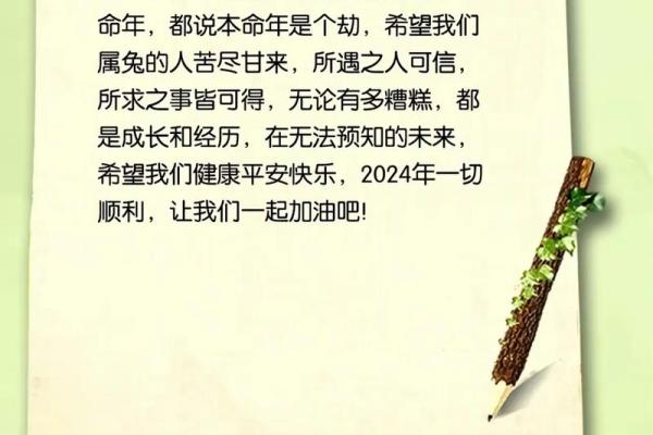 兔男本命年如何避免健康隐患 兔男本命年如何避免健康隐患