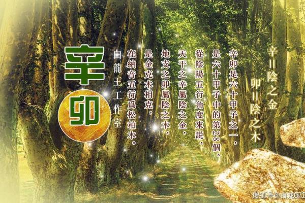 从五行角度看独山玉:对运势的影响与选择技巧 从五行角度看独山玉:对运势的影响与选择技巧