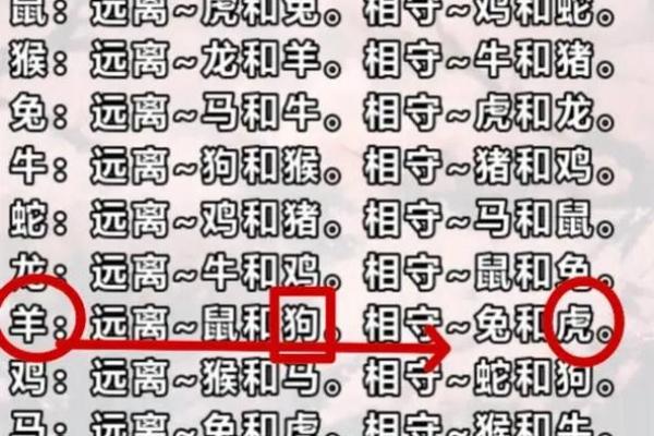 属鼠女和属羊男的感情走向与挑战 属鼠女和属羊男的感情走向与挑战