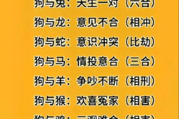 兔子和狗生肖是否合适配对?揭秘它们的相互关系与婚配运势 兔子和狗生肖是否合适配对?揭秘它们的相互关系与婚配运势