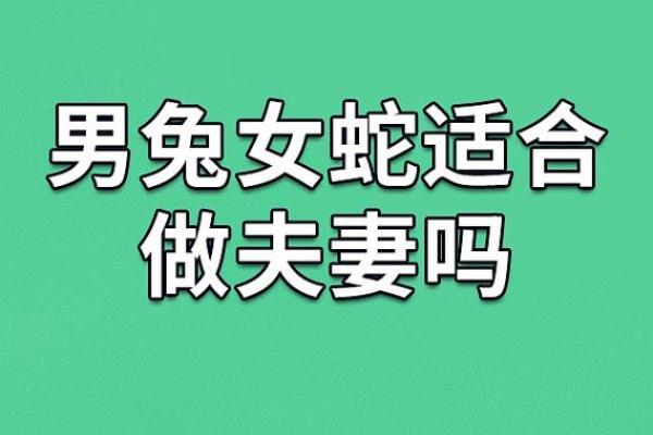 从生肖看男马女兔婚姻:缘分与挑战并存 从生肖看男马女兔婚姻:缘分与挑战并存